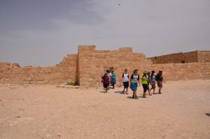 סיור בחוג ללימודי א